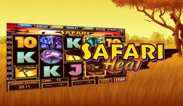 Safari Heat
