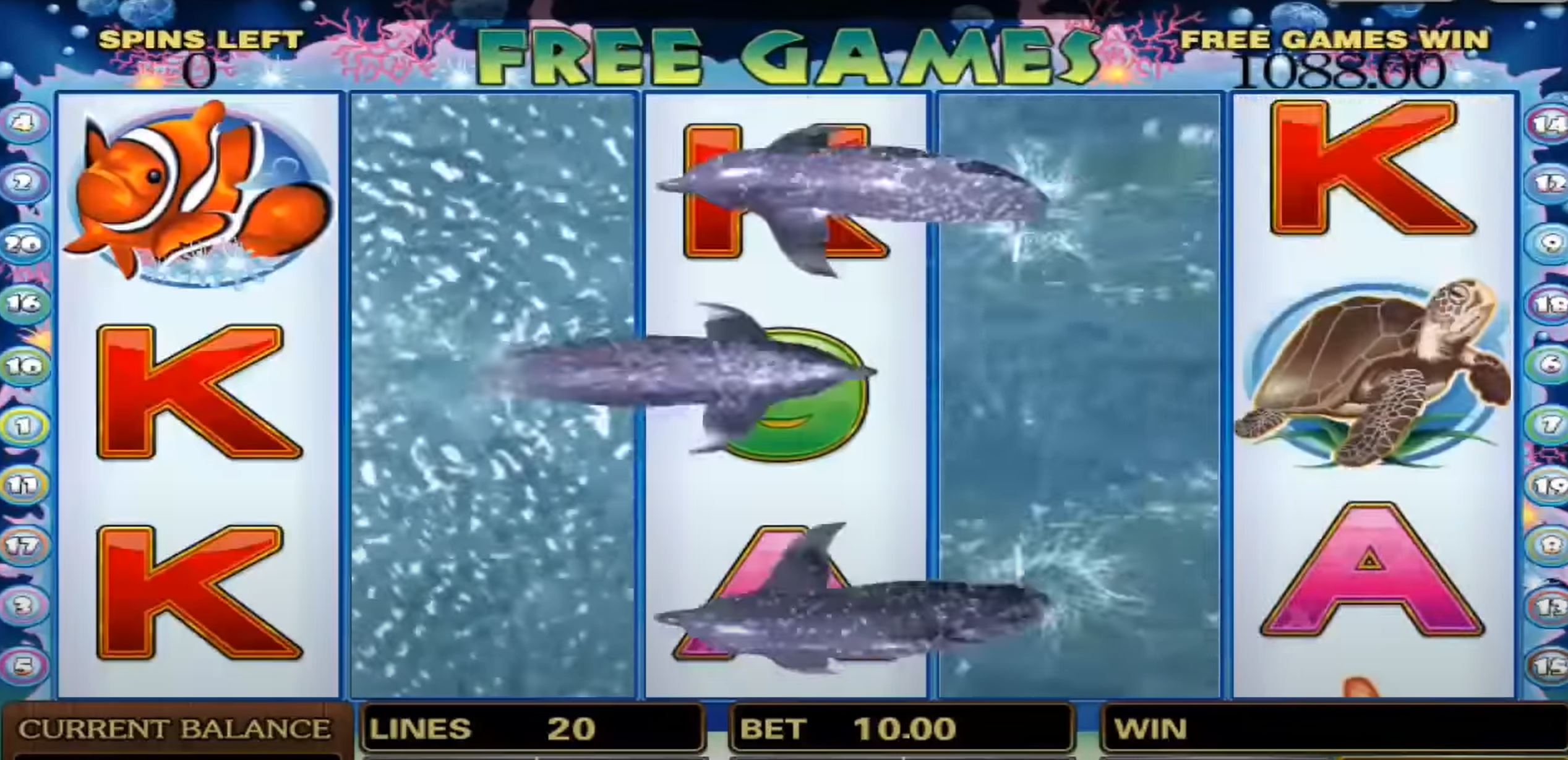 dolphin reef